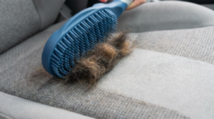 pet hair removal car interior Surrey BC Rinsed Auto Spa